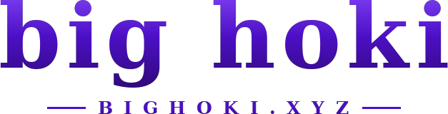 big hoki logo